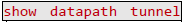 Obr_show-dapath-tunnel.PNG Obr_show-dapath-tunnel.PNG