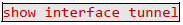 Obr_show-interface-tunnel.PNG Obr_show-interface-tunnel.PNG