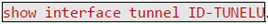Obr_tunnel.PNG Obr_tunnel.PNG